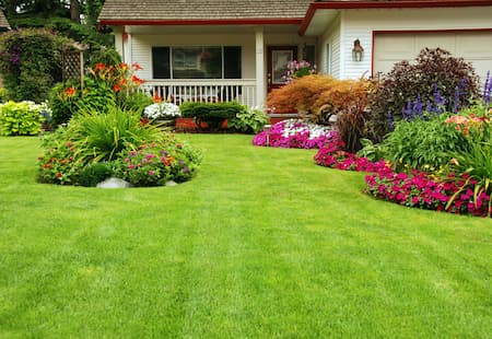 4 Myths About Lawn Care